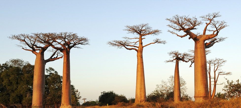 环境和社会责任 环境和社会责任