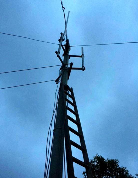 老式大天线基站.png 老式大天线基站.png